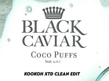 Black Caviar - Coco (KooKOh Clean XtdOutro Edit)